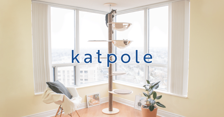 floor-to-ceiling cat tree "katpole" in an aesthetic apartment, multicat household