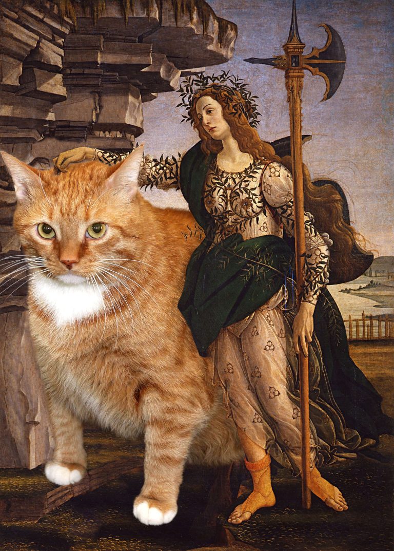pallas and the cat