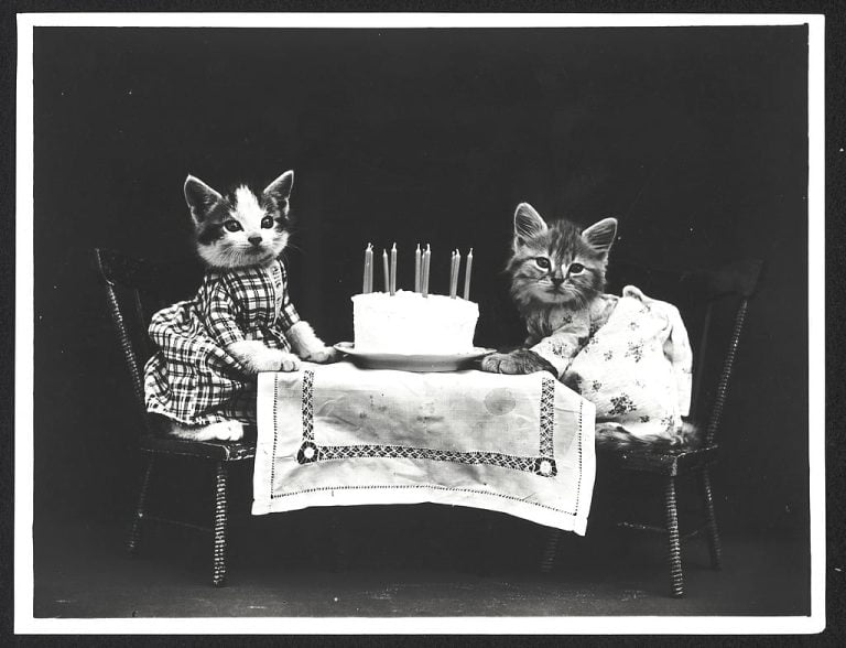 vintage kitten birthday party with cake, candles, and table set, in black and white