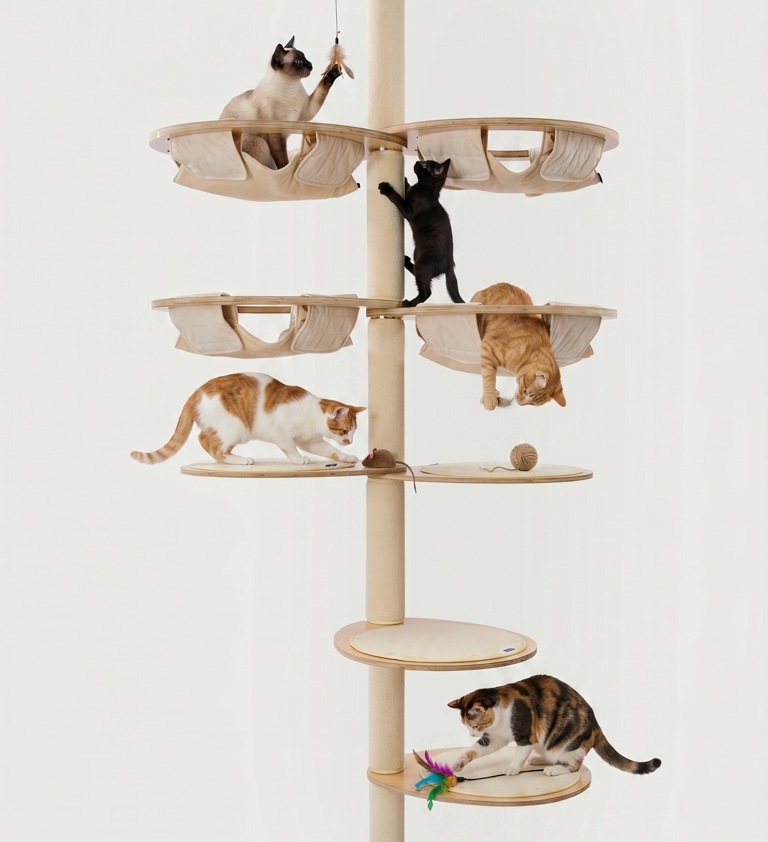 five cats on a cat tree simultaneously